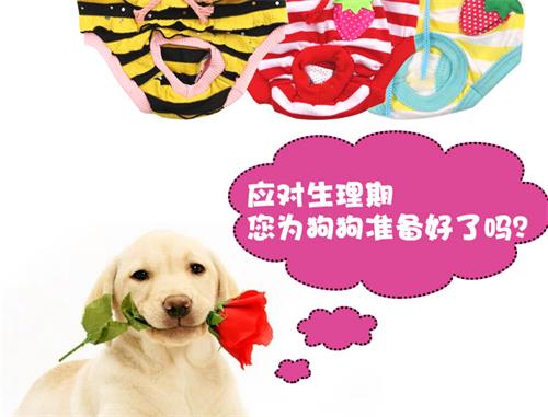 给狗做绝育多少钱