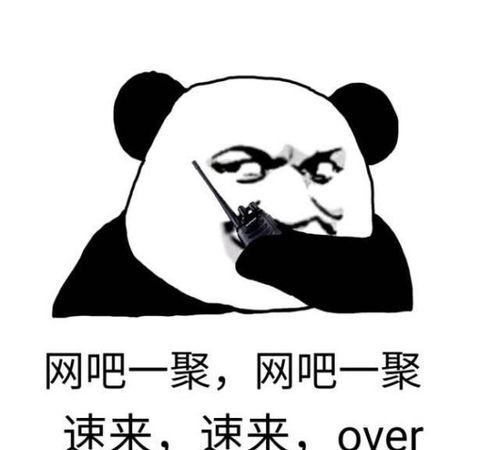 养宠物狗追女孩怎么办啊