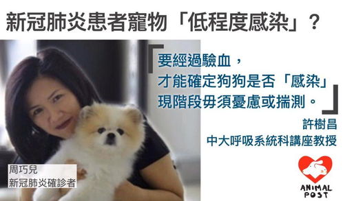 狗检查抗体多少钱