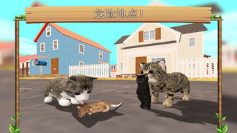 怎么模拟养宠物猫