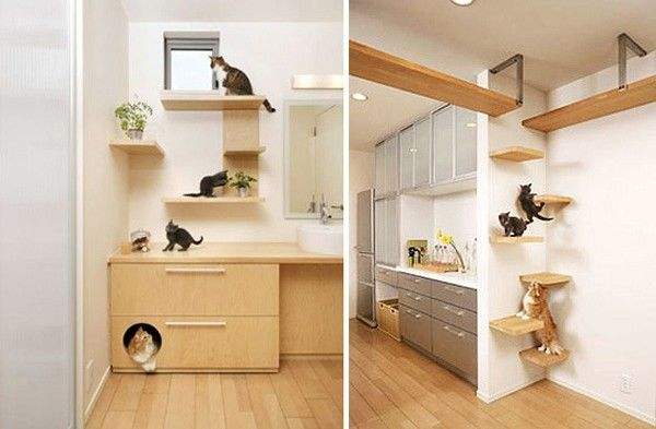 家有宠物猫怎么装修