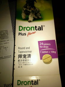 宠物狗长蛔虫了怎么办