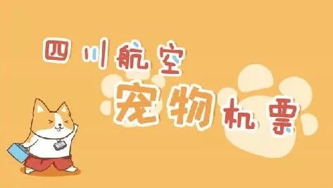 带宠物狗去坐飞机怎么办