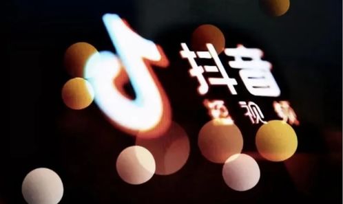 宠物狗抖音号怎么取名字