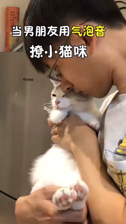 小宠物猫生宝宝怎么办啊