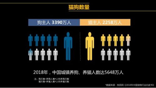 穷人家怎么养宠物猫狗呢