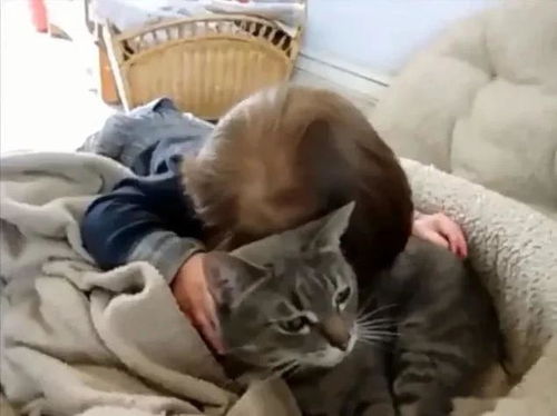 怎么抓宝宝宠物猫