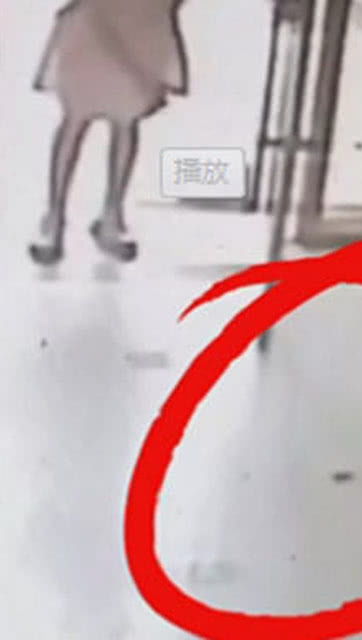 宠物狗扫便便怎么清理的
