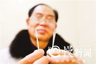 宠物狗怎么做食疗方法