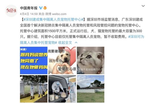 疫情下宠物狗怎么办呢