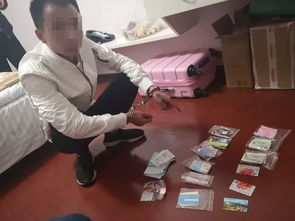 卖宠物狗被诈骗怎么办理