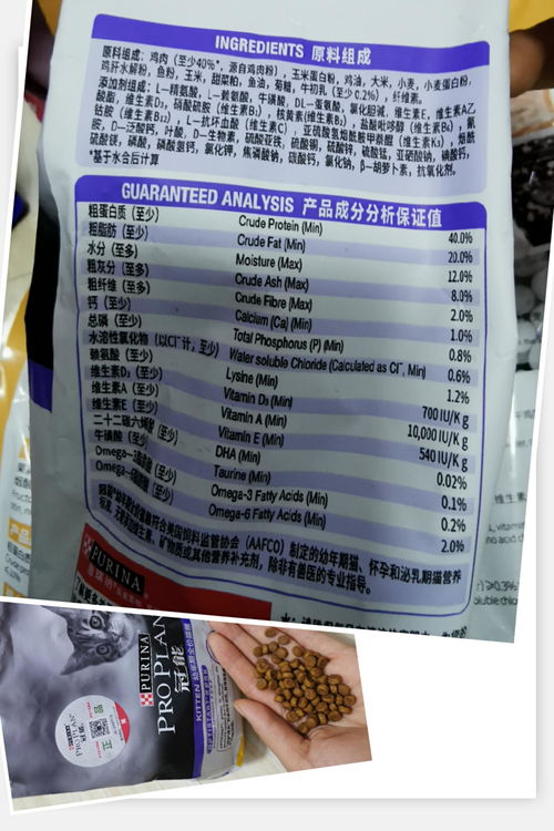 小白怎么选宠物猫粮