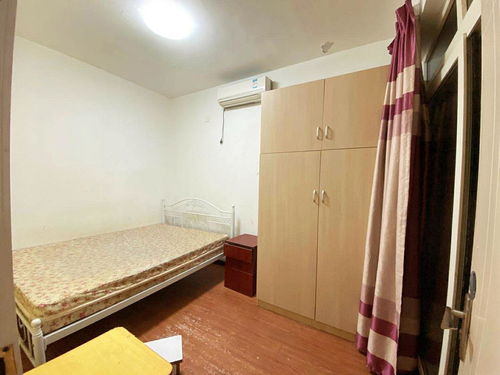 单间出租屋怎么养宠物狗