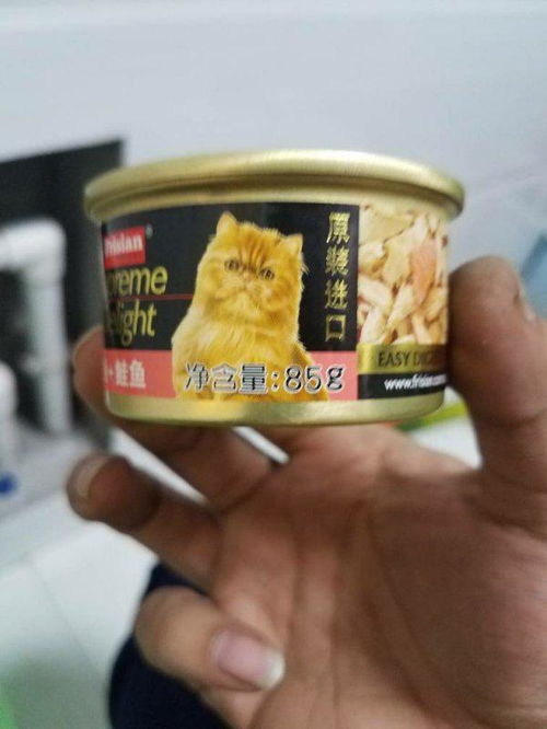 猫罐头每天吃多少