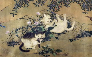 古人怎么称呼宠物猫