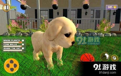 虚拟人生宠物狗怎么养