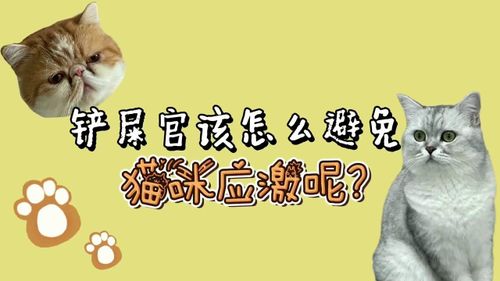 宠物猫应激了怎么吃药