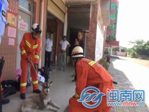 宠物狗闯入消防队怎么办