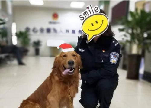 怎么看走失的宠物狗在哪里