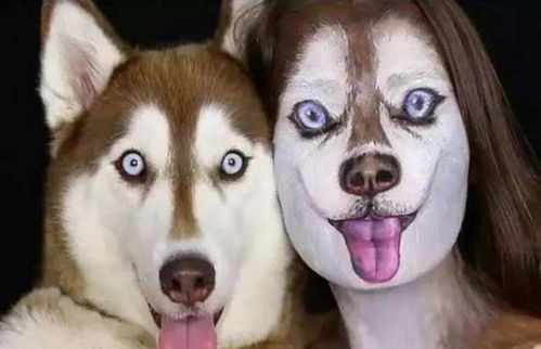 怎么能画宠物狗的脸部