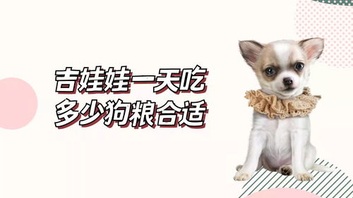 小狗吃多少狗粮合适