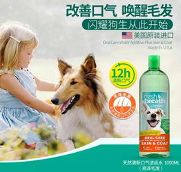 宠物狗洁齿水怎么用啊