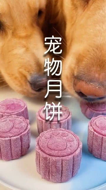 给宠物狗做月饼怎么做