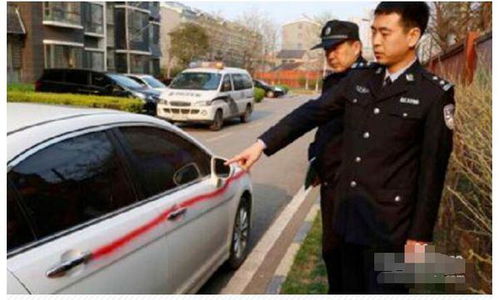 车被宠物狗划了怎么办啊