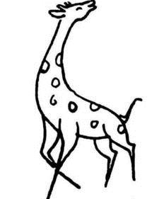 简单线描宠物狗怎么画好看