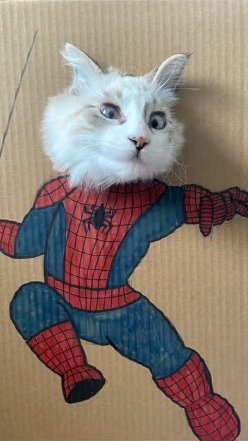 怎么用纸盒做小宠物猫