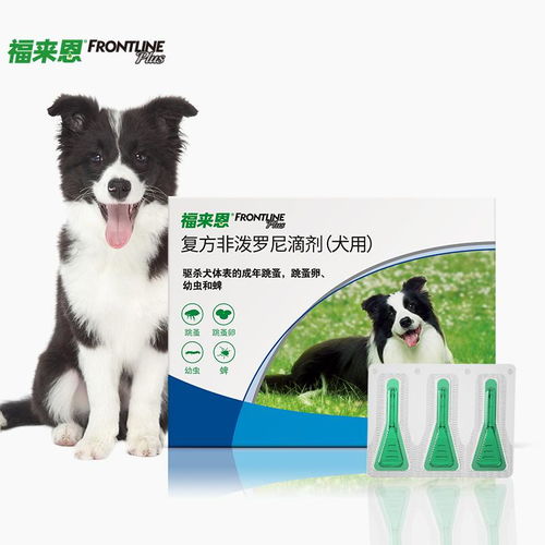 宠物狗祛虫剂怎么用的