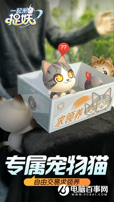 怎么领专属宠物猫