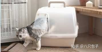 宠物狗怎么用猫砂盆养活