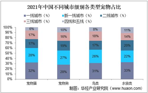 宠物猫行业分析怎么写