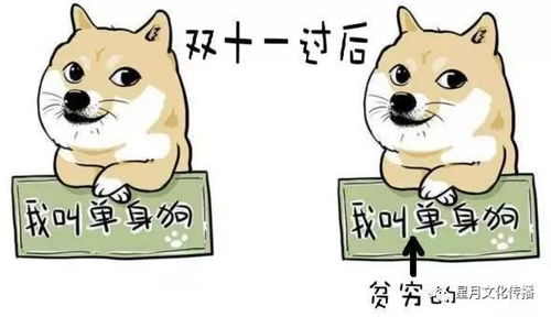 怎么做咸鱼卖宠物狗赚钱