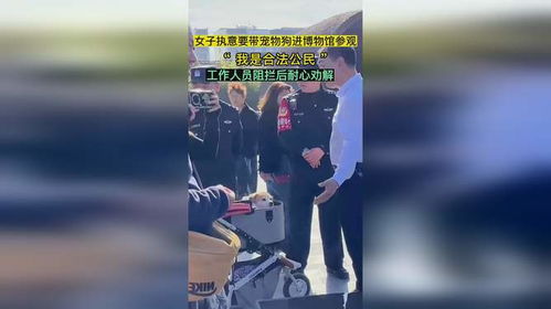 宠物狗进博物馆怎么办