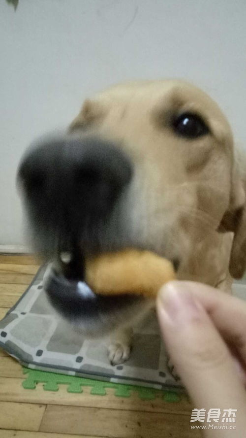 给宠物狗做鸡肉干怎么做