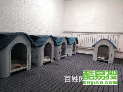 外出家里宠物狗怎么办
