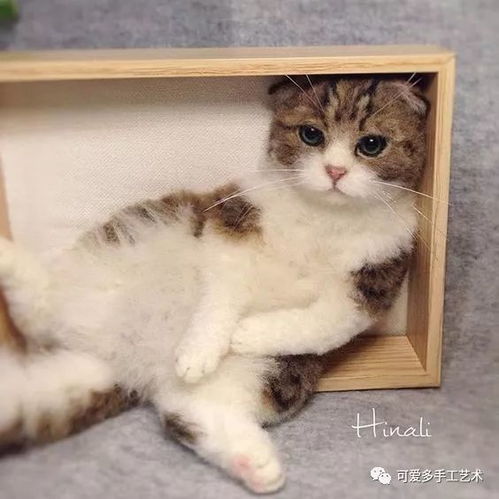 用羊毛毡做自家宠物狗怎么做