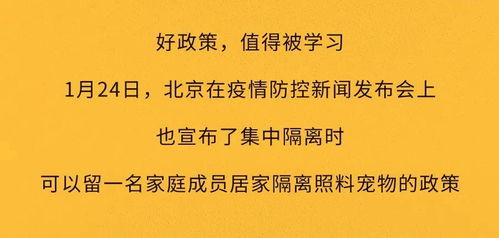 疫情隔离期宠物狗怎么办