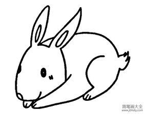 画宠物狗猫兔鸟怎么画