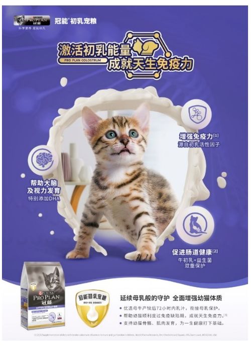 怎么给小猫做宠物狗粮吃