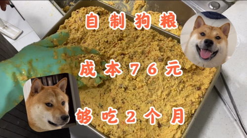 一个半月吃多少狗粮