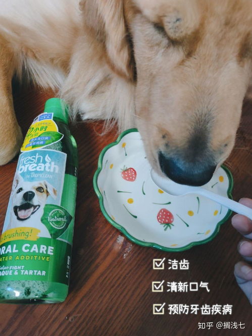 宠物狗用品洁齿水怎么用