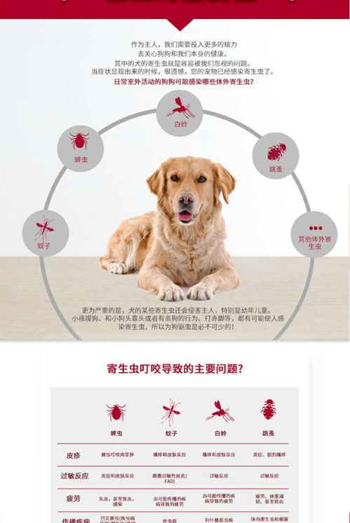 宠物狗驱虫药体外怎么操作