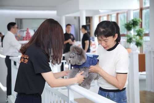 机场怎么领取宠物猫狗
