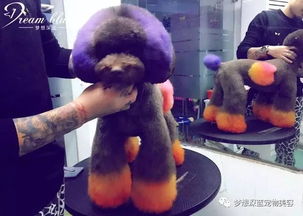 染过色的宠物狗怎么清洗