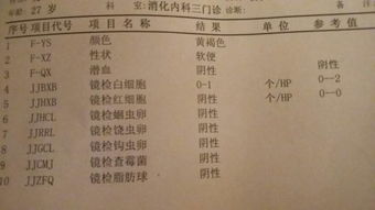 宠物狗便检报告怎么看出来