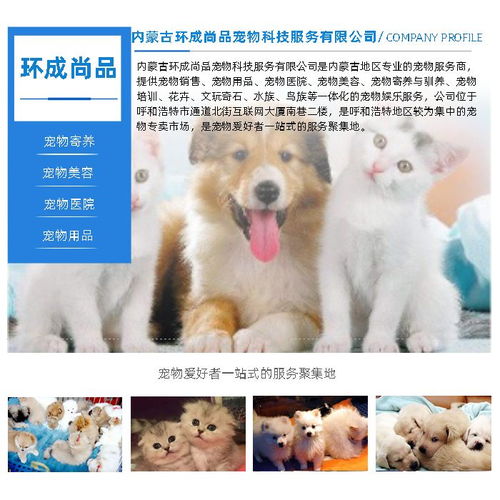 宠物狗的心情怎么看出来