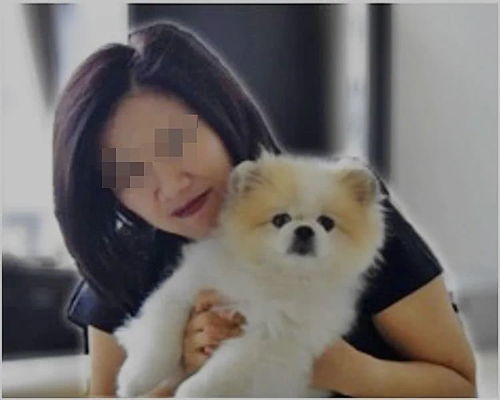 宠物狗得新冠后怎么治